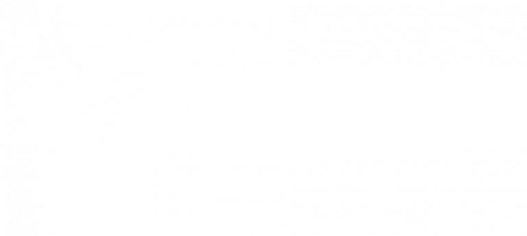 silae-expert-blanc