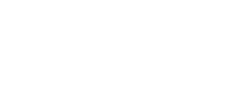 SMART PORTAGE